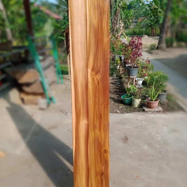 kayu mahoni perbatang