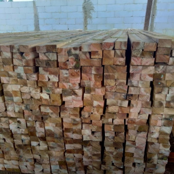 kayu meranti jambi