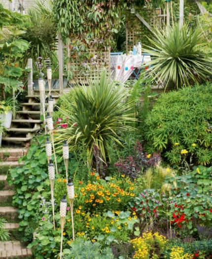 taman depan rumah minimalis lahan sempit dengan tangga kecil