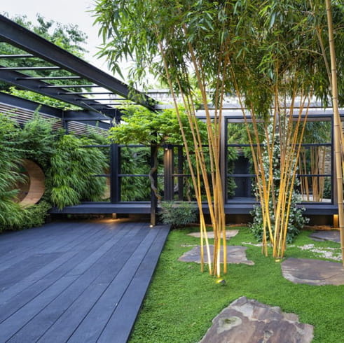 pohon bambu di taman belakang rumah
