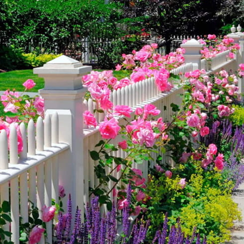 pagar rumah dengan taman minimalis