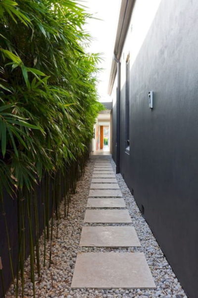 taman samping rumah 1 meter tanaman bambu