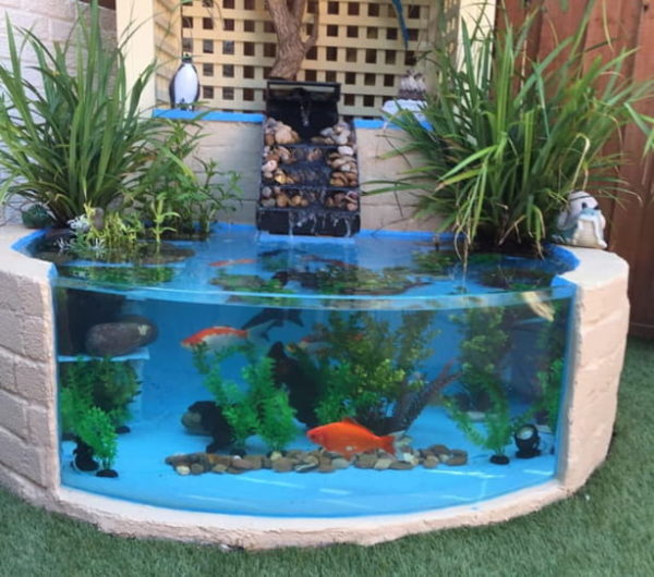 kolam ikan mini di teras rumah dengan kaca lengkung