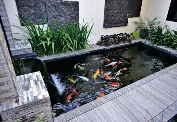 kolam ikan mini di teras rumah modern