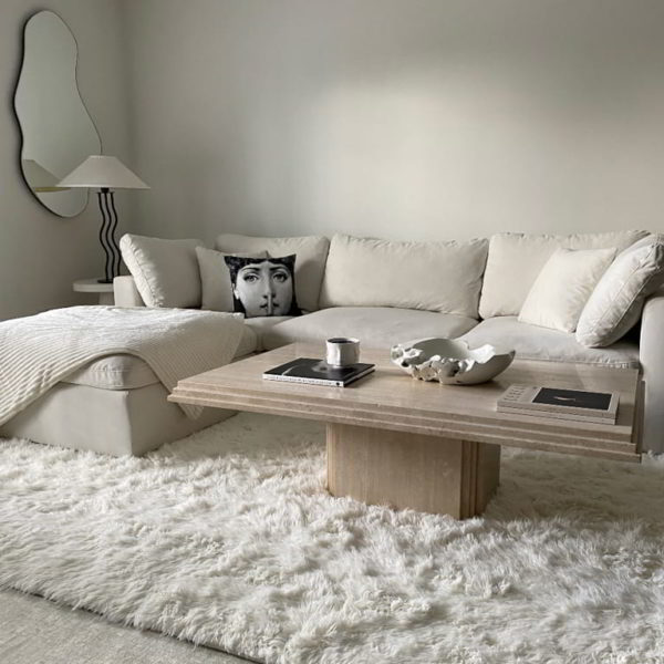 berikan karpet dengan jenis bulu-bulu yang halus - ruang tamu minimalis 3x3